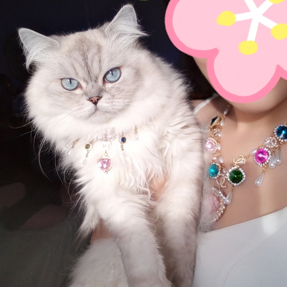 Barbie Movie Memorabilia Pet Collar